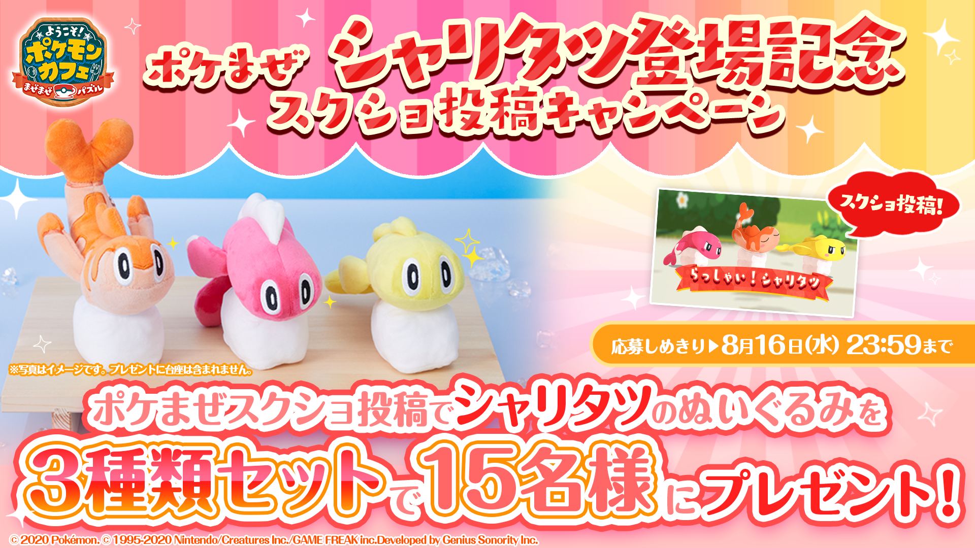 値段提示お願いしますポケモン 抽選で「シャリタツのぬいぐるみ」をプレゼント！シャリタツ登場記念